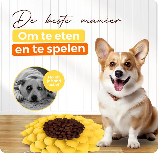 Corgi naast een zonnebloem snuffelmat. Tekst: 'De beste manier om te eten en te spelen'.
