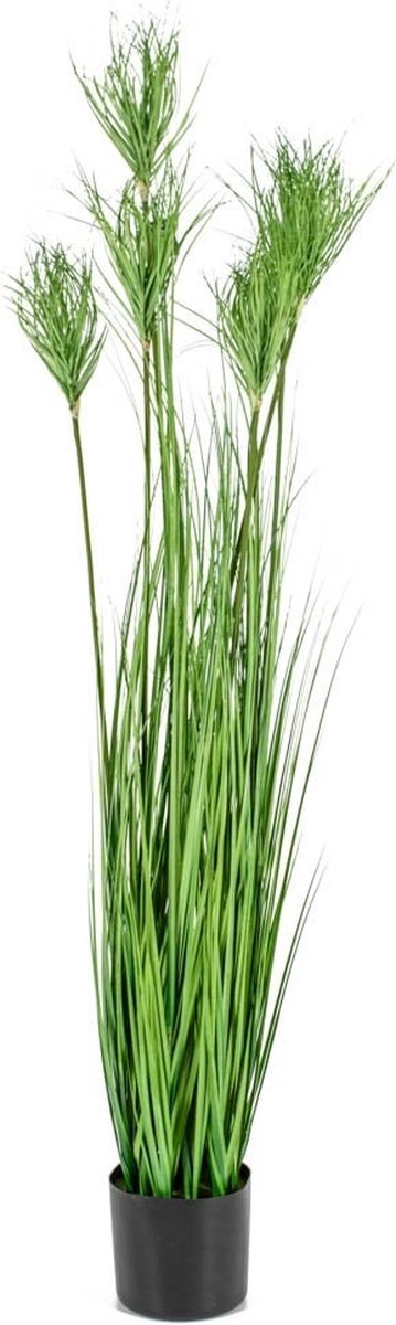 Fake plant