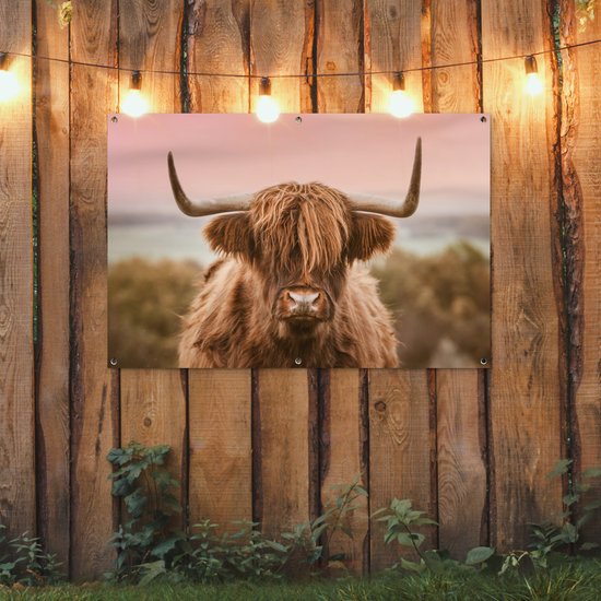 Affiche de jardin Vache - Highlander écossais - Animal - 120x80 cm - Jardin