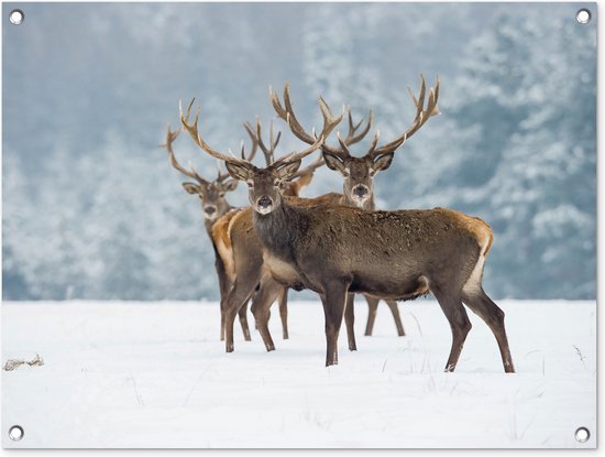 Tuinschilderij Hert - Dieren - Sneeuw - Winter - Landschap - Natuur - 80x60 cm - Tuinposter - Tuindoek - Buitenposter