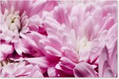 Tuinposter - Bloemen - Planten - Roze - Natuur - Abstract - Poster voor buiten - Schuttingposter - Abstract - 120x80 cm - Tuindoek - Buitenposter