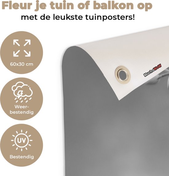 Poster de jardin Orchidée - Fleurs - Plante - Wit - Violet - 60x30 cm - Toile jardin - Poster extérieur