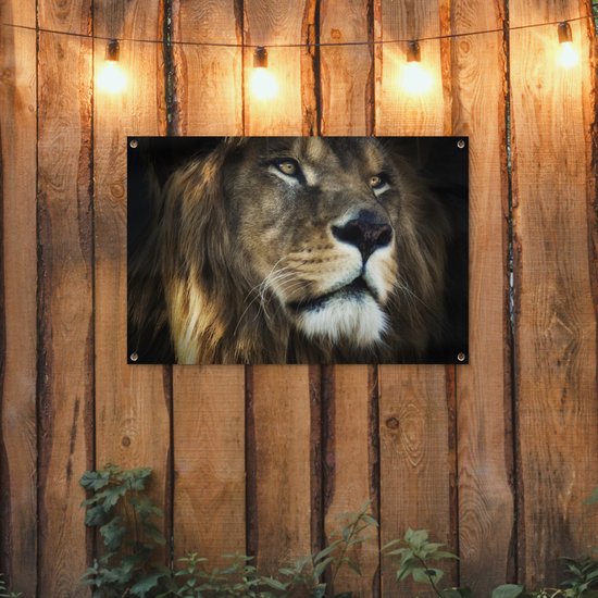 Tuinposter 90x60 cm - Tuindecoratie Leeuw - Vacht - Zwart - Poster voor in de tuin - Buiten decoratie - Schutting tuinschilderij - Tuindoek muurdecoratie - Wanddecoratie balkondoek