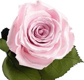 Flowerbox Longlife Coco zwart - Ruim assortiment aan Luxe & Handgemaakte cadeaus - Verras op een speciale manier - 2 jaar houdbare rozen!