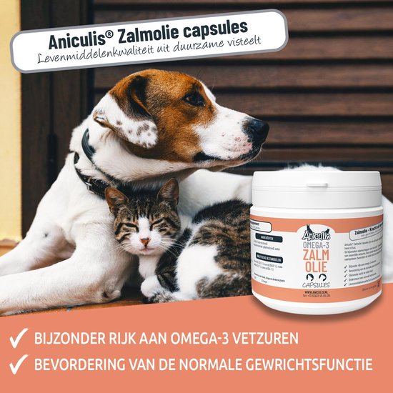 Een hond en kat kijken samen naar een pot Aniculis zalmolie capsules.
