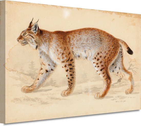 Lynx - Wilhelm von Wright schilderijen - Lynx portret - Muurdecoratie Dier - Muurdecoratie landelijk - Schilderij op canvas - Kantoor decoratie 150x100 cm