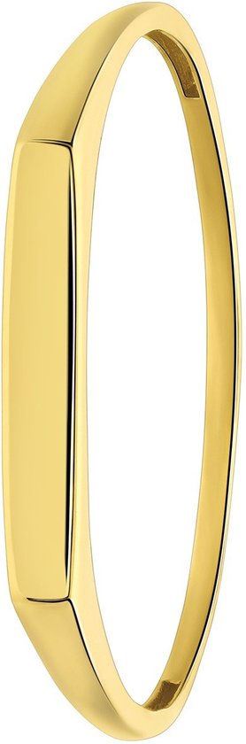 Lucardi Dames 14 karaat geelgouden ring met bar - Ring - 14 Karaat Goud - Geelgoud - 18.50 / 58 mm