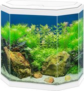 Ciano Aquarium Aqua 30 LED Blanc