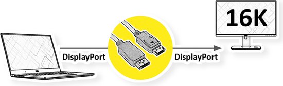 ROLINE DisplayPort-kabel, v2.1, 16K, DP M - M, zwart, 1 m