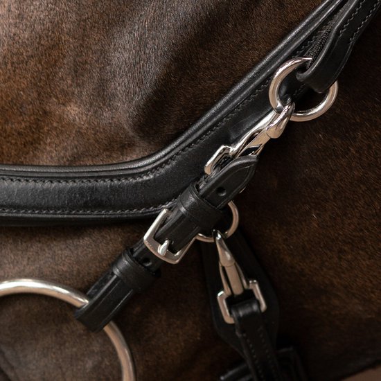 Zwarte leren hoofdstelbanden met zilverkleurige gespen en clips op een paard.