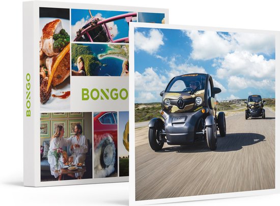 Bongo Bon - PLEZIERRITJE MET HET GEZIN IN 2 RENAULT TWIZY'S IN LISSE - Cadeaukaart cadeau voor man of vrouw