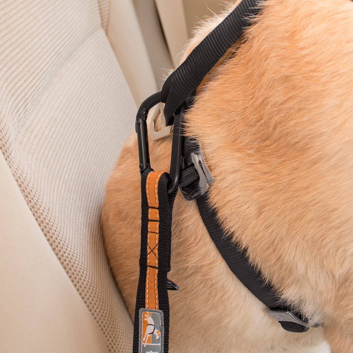 Ceinture De Sécurité Pour Chien - Sangle Élastique Avec Crochet Et Languette - Compatible Harnais - Pour Voiture