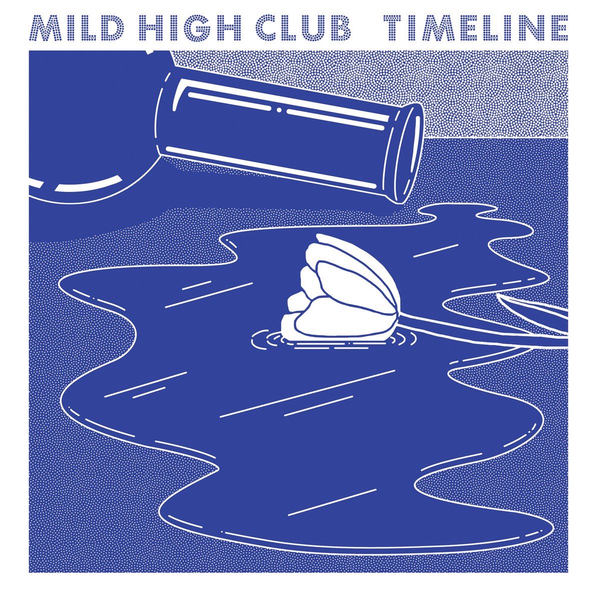 Mild High Club - Timeline (LP)