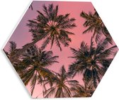 PVC Schuimplaat Hexagon - Palmbomen - Tropisch - Kleuren - Roze - Onderaanzicht - 30x26.1 cm Foto op Hexagon (Met Ophangsysteem)