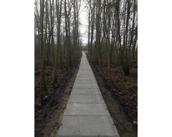 Intergard Betontegels terrastegels agriplaten 120x80cm