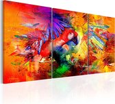 Schilderij - Kleurrijke Papegaai , 3 luik