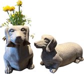 Teckel - set van rustieke plantenbak met beeld - plantenbak - bloempot - beeld- teckelbeeld - hond - grijs - steen