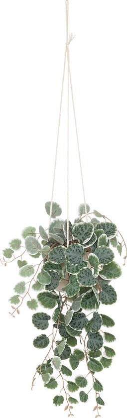 Atmosphera Kunstplant - Hangplant met pot - 25x15x80cm - Groen