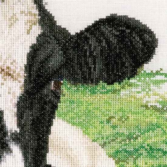 Kit à broder le saut d'équitation sur aida de Thea Gouverneur TG-1003A