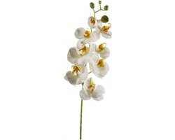 Emerald Kunstbloem Orchidee - 68 cm - wit - losse tak - kunst zijdebloem - Phalaenopsis