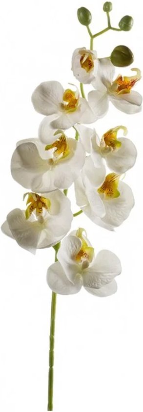 Emerald Kunstbloem Orchidee - 68 cm - wit - losse tak - kunst zijdebloem - Phalaenopsis