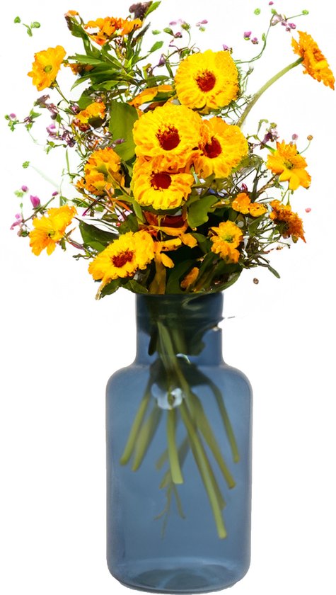Floran Flower vase - Modèle Apothicaire - bleu/verre transparent - H30 x D15 cm
