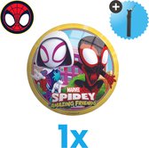 Spiderman en Friends Lichtgewicht Speelgoed Bal - Kinderbal - 23 cm - Inclusief Balpomp