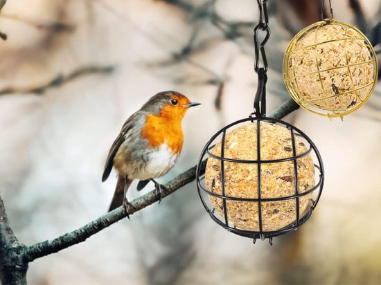 Decoratie vogelkooi rond | Rayher
