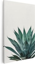 Artaza Canvas Schilderij Groene Agave Plant voor een Witte Achtergrond - 40x60 - Wanddecoratie - Foto Op Canvas - Canvas Print