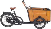 Aitour Family-C, vélo cargo électrique, moyeu Enviolo, 48V, 13,4 Ah