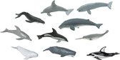 dieren 9X Set Walvissen En Dolfijnen Dier Figuur Figuren Beeldjes Speelgoed Walvis Kids