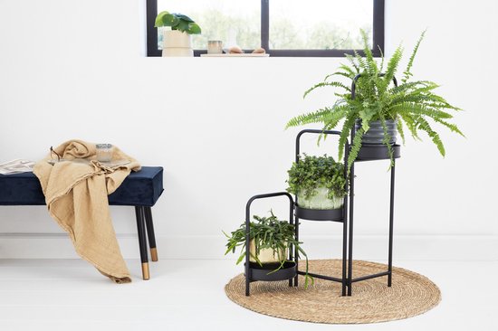 LIFA LIVING Plantenhouder - Plantenbak - Industrieel - 3-delig - Metaal - Zwart - 25 x 52 x 90 cm