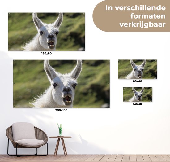 Affiche de clôture Lama - Drôle - Enfants - Garçons - Filles - Kids - 200x100 cm - Toile de jardin