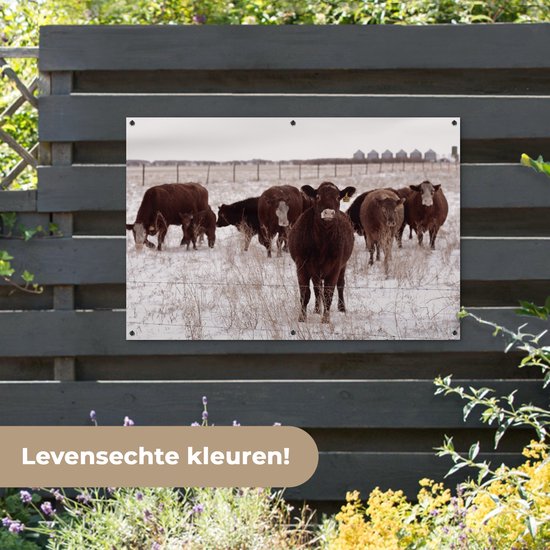 Affiche de jardin Troupeau de vaches dans un champ de neige 120x80 cm - Toile de jardin / Toile d'extérieur / Peintures d'extérieur (décoration de jardin)