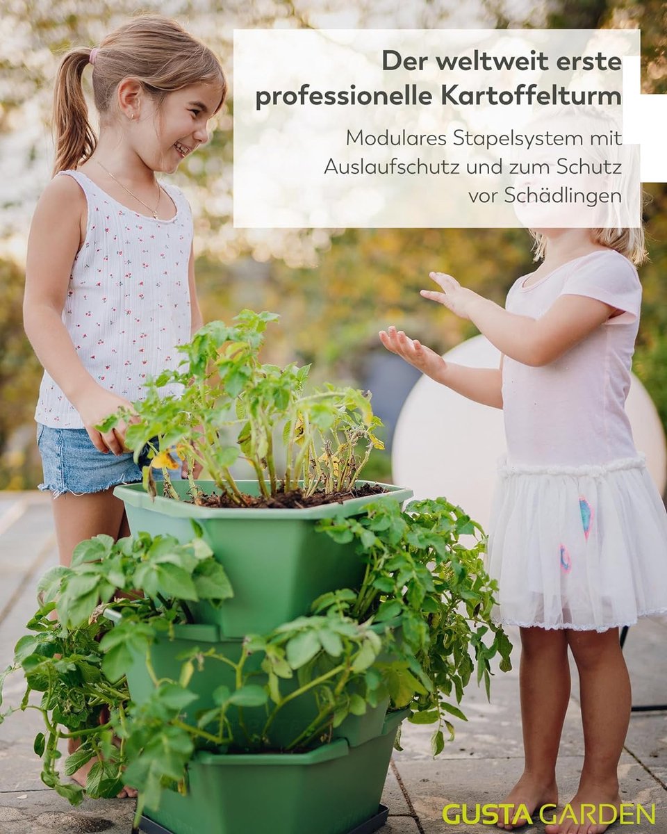 Aardbeien Bak 400 Gram Aanbieding bij Jumbo