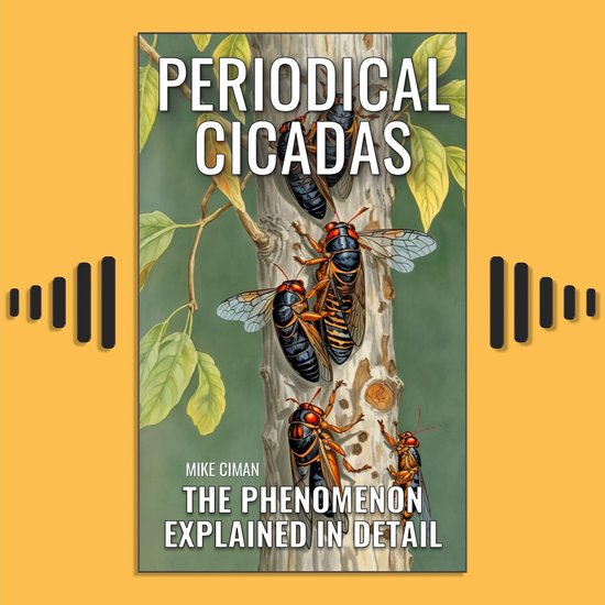 Periodical Cicadas - The Phenomenon Explained In Detail - cover