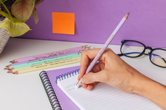 BIC Evolution - Grafietpotloden - Kinderen en volwassenen - Grijs - Potlood - 12 Stuks
