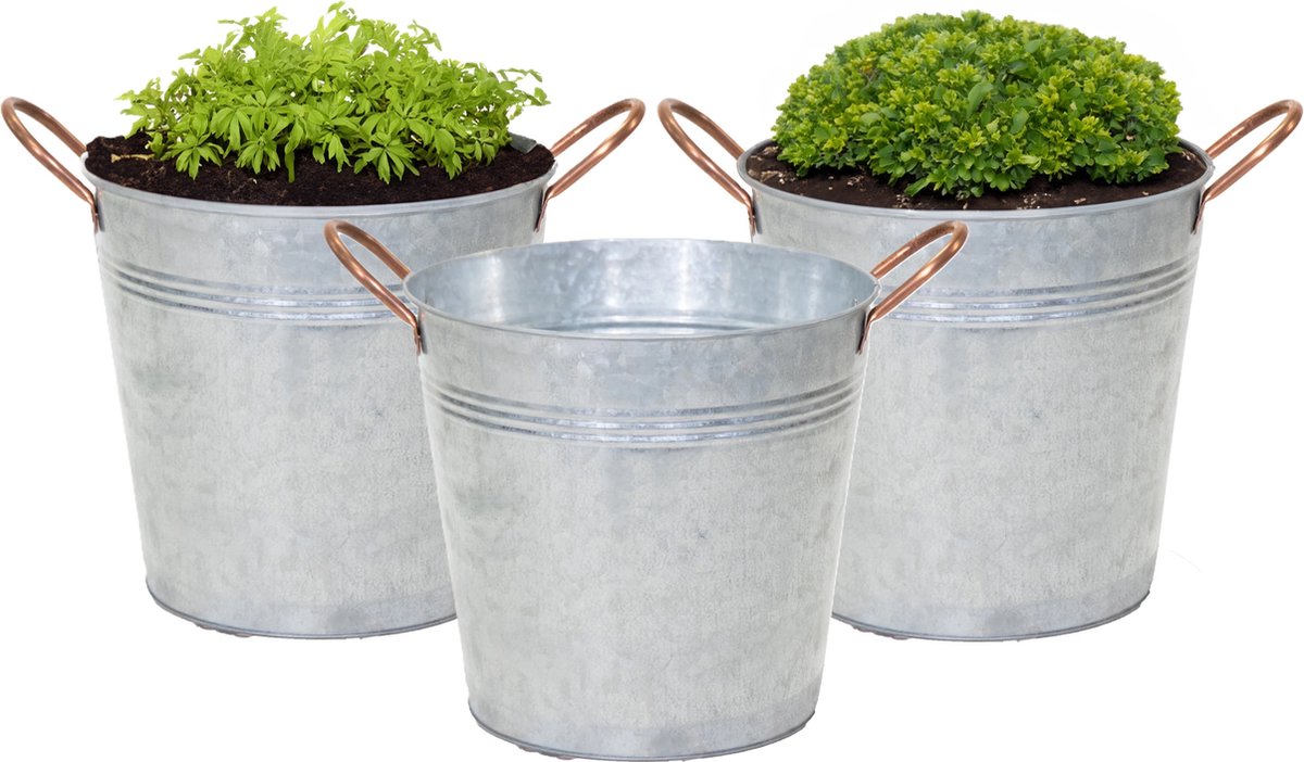 Goedkoopste Mega Collections Emmer/plantenpot/bloempot Jean - 3x - zink - zilver - D20 X H17 cm
