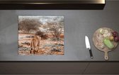 Inductieplaat Beschermer - Achteraanzicht van Sluipende Leeuw in Afrikaans Landschap - 58x51 cm - 2 mm Dik - Inductie Beschermer - Bescherming Inductiekookplaat - Kookplaat Beschermer van Zwart Vinyl