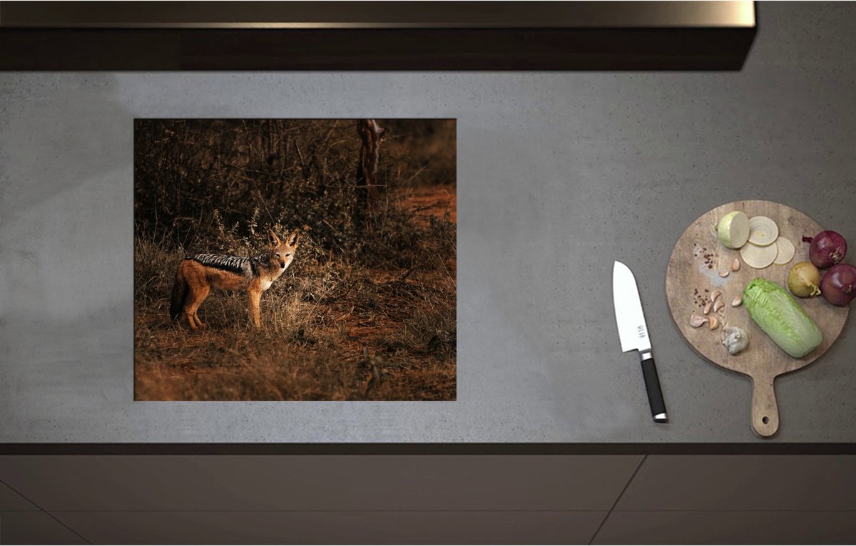 Inductieplaat Beschermer - Aankijkende Goudwolf in de Struiken van Kaal Bos - 57x50 cm - 2 mm Dik - Inductie Beschermer - Bescherming Inductiekookplaat - Kookplaat Beschermer van Wit Vinyl