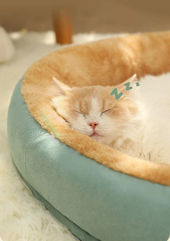 Grote Hangmat Voor Katten Aan Het Raam - Afneembare Dikke Hoes En Stevige Opvouwbare Ligbed Ideaal Voor Zonnebadende Katten Inclusief 4 Zuignappen Max 18 Kg Wit M