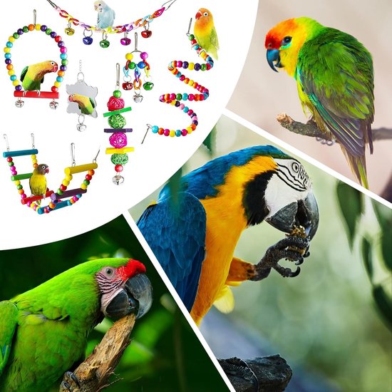 Papegaai Hangend Speelgoed, Natuurlijk Hout Vogel Papegaai Schommel Kauwspeelgoed Vogelketting Ladder Hangbrug Trainingsspeelgoed voor een grote verscheidenheid aan papegaaien en vogels Papegaai Hangend Speelgoed, Natuurlijk Hout Vogel Papegaai Schommel Kauwspeelgoed Vogelketting Ladder Hangbrug Trainingsspeelgoed voor een grote verscheidenheid aan papegaaien en vogels