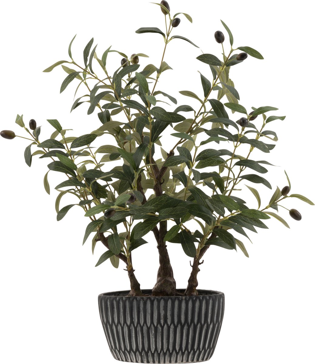 J-Line olijfboom in cement pot - kunststof - groen