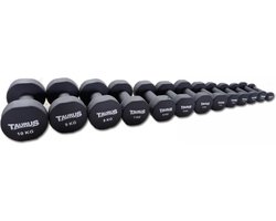 Taurus Taurus Neopreen Studio Trainingshalter 9 kg - – dumbbell – dumbell - halter – earobics – earobic – pumptraining