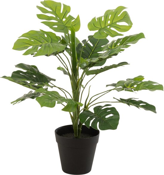 J-Line plant Philodendron In Pot - kunststof - groen - small