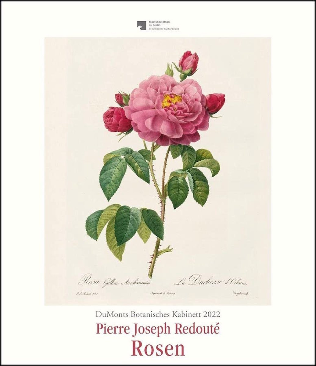 DuMonts Botanisches Kabinett - Rosen von P.J. Redouté - Kuns
