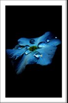 Walljar - Hortensia Blauw - Muurdecoratie - Poster
