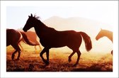Walljar - Paarden In Wyoming - Dieren poster
