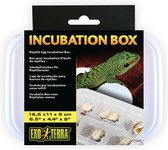 Exo terra ex incubatie box voor reptielen eieren
