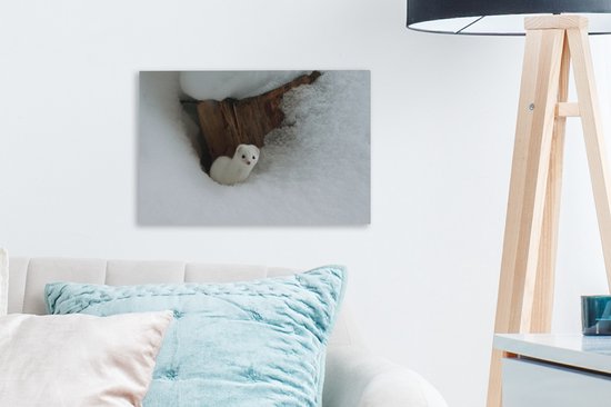 Tableau sur toile Belette Witte dans la neige - 30x20 cm - Décoration murale
